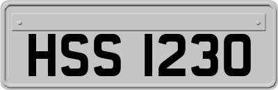 HSS1230