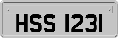 HSS1231