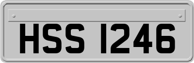 HSS1246