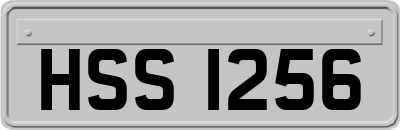 HSS1256
