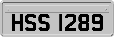 HSS1289