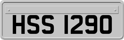 HSS1290