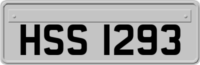 HSS1293