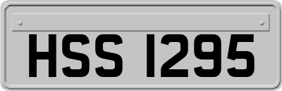 HSS1295