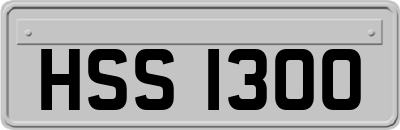 HSS1300