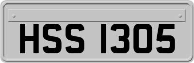 HSS1305