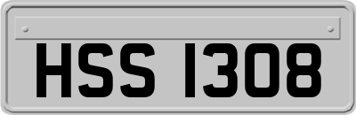 HSS1308