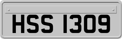 HSS1309