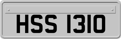 HSS1310