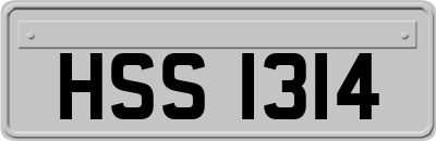 HSS1314