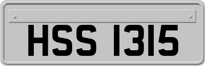 HSS1315