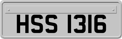HSS1316