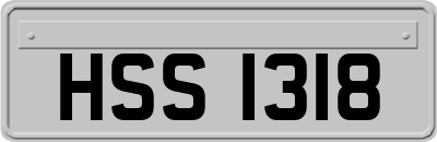 HSS1318