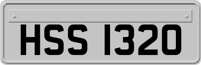 HSS1320