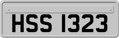 HSS1323