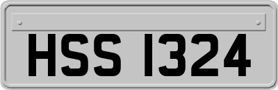 HSS1324
