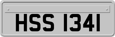 HSS1341