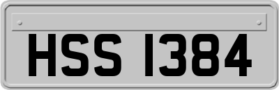 HSS1384