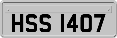 HSS1407
