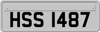 HSS1487