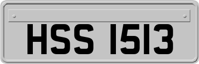 HSS1513