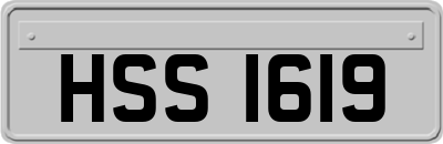 HSS1619