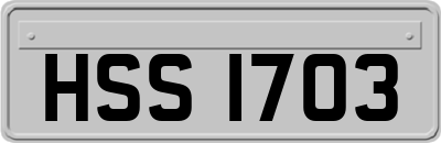 HSS1703