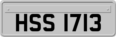 HSS1713
