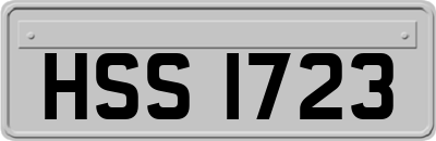 HSS1723
