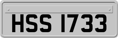 HSS1733