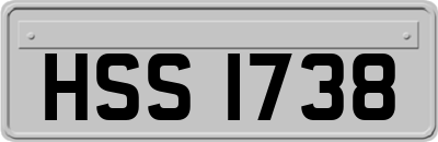 HSS1738