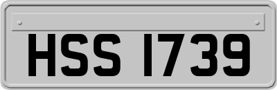 HSS1739