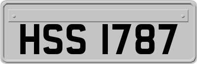 HSS1787