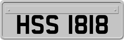 HSS1818
