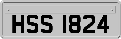 HSS1824