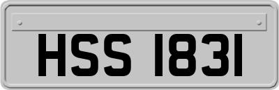 HSS1831
