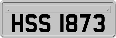 HSS1873