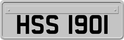 HSS1901