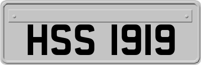 HSS1919