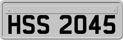 HSS2045