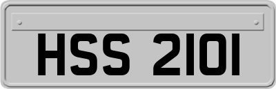 HSS2101