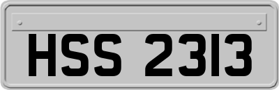 HSS2313