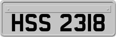 HSS2318