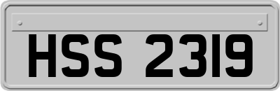 HSS2319