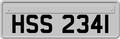 HSS2341