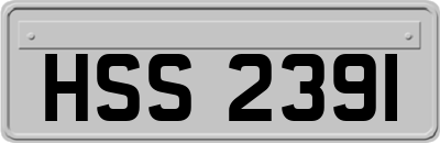 HSS2391