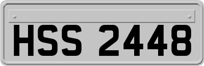 HSS2448