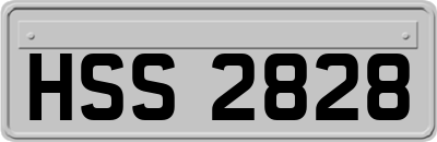 HSS2828