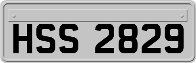 HSS2829