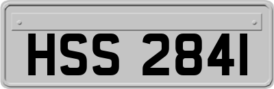 HSS2841